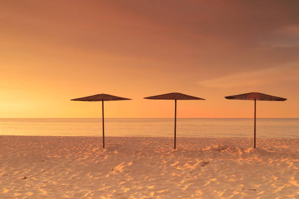 Straw beach umbrellas on an empty beach in Hel by the Baltic Sea at sunrise.