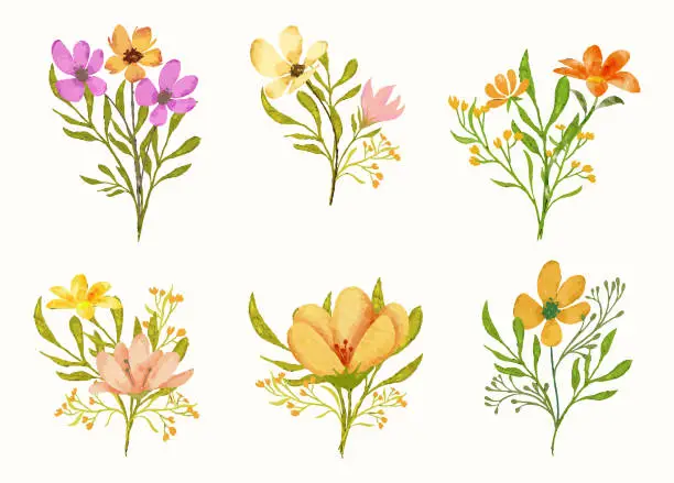 Vector illustration of Watercolor floral branch illustration with flowers and leaves
