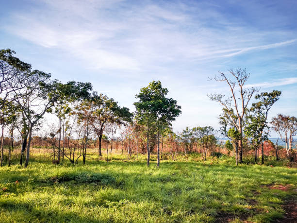 istock Pha Hua Nak,Chaiyaphum 1502960895