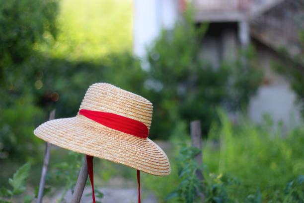 Summer images