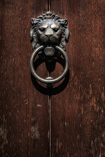 Macro shot of a vintage bronzed lion head door knocker on the entrance to a building