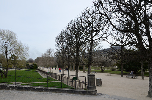 Paris, France - March 17, 2023: People strolling at the Plants Garden in the Latin Quarter of Paris, France.