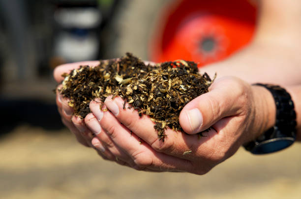 istock Two hands filled with soil and wood chips. Biomass for heating. 1502970357