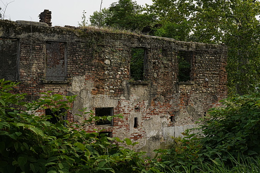 Old abandoned and forgotten concrete bunker or bomb shelter with a single entrance covered with moss located between two hills in the middle of a dense forest or moor seen on a summer day in Poland