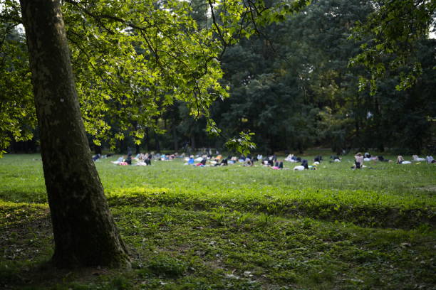 istock Yoga at the park 1502983802