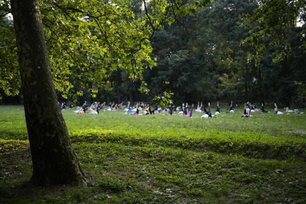 istock Yoga at the park 1502983826