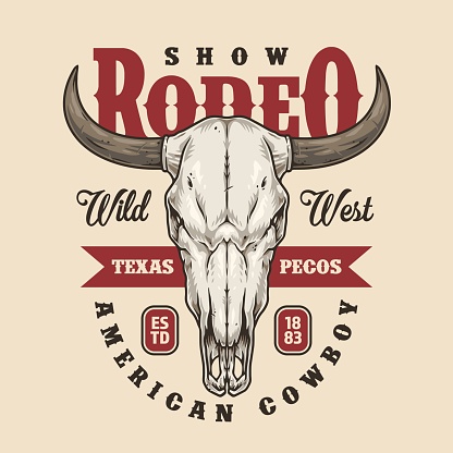 Rodeo show vintage flyer colorful with bull skull with horns for wild west American cowboy competition invitation vector illustration
