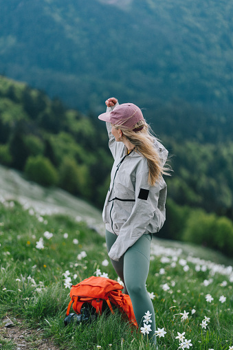 They carpet large swaths of alpine meadows