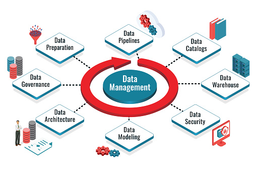 Data Management Infographic