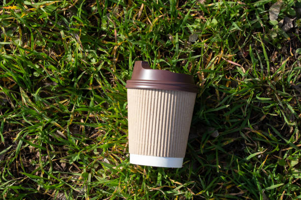 istock brown paper coffee cup stands in the forest on a sunny day 1502998755