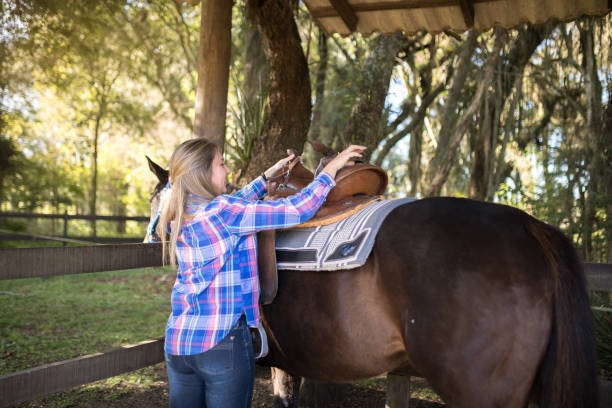 istock Woman securing the saddle on the horse 1503000748