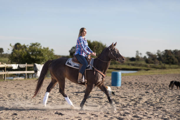 istock Woman riding a horse on an open arena 1503003296