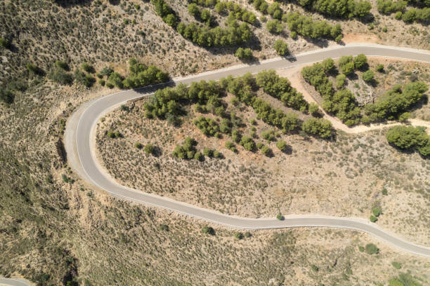 istock overhead photo of a road through a pine forest 1503003303
