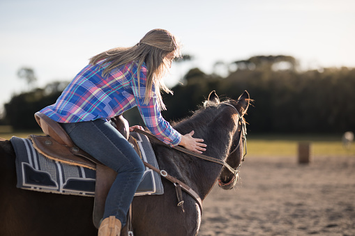 Horses routines at the hippic