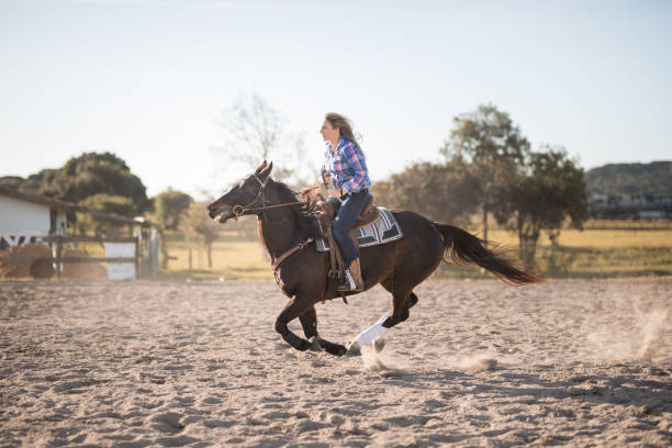 istock Woman and horse galloping on the course 1503003762