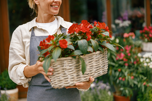 Woman florist small business owner standing in floral store and waiting for client with houseplants