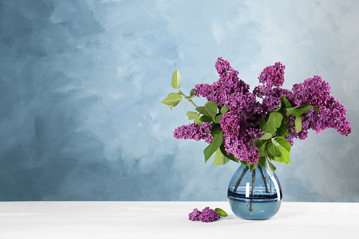Beautiful lilac flowers in vase on white table, space for text