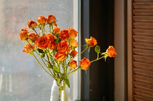 The beautiful orange roses in a vase
