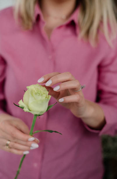istock a rose in the hands of a florist 1503017322