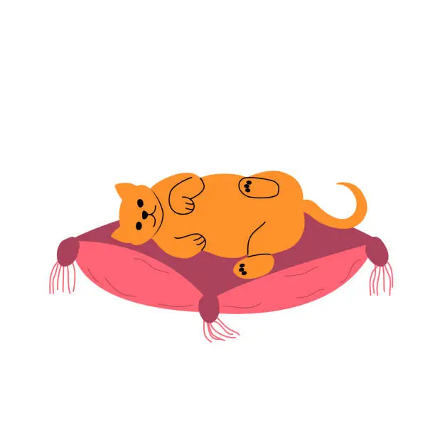 Vector illustration of Cat sleeping on pillow. Sleepy relaxed feline animal lying on pet cushion.