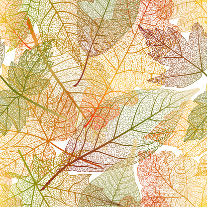 Seamless pattern with leaves veins. Modern creative design skeletal leaves. Vector illustration.