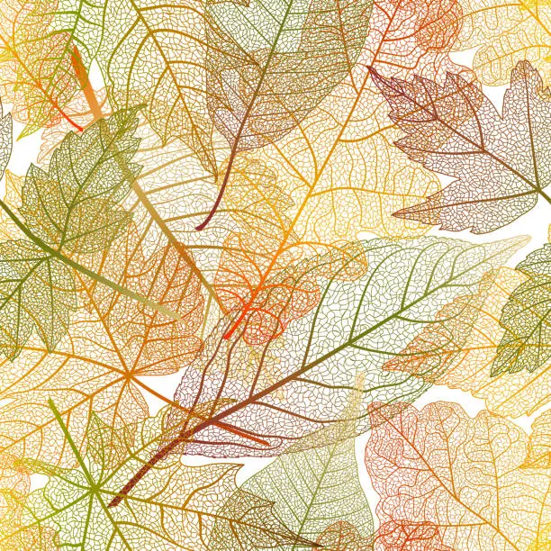Vector illustration of Seamless pattern with leaves veins. Modern creative design skeletal leaves. Vector illustration.