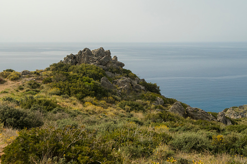 View on a coastal landscape with Phlomis cretica near Preveli Beach, southern Crete
