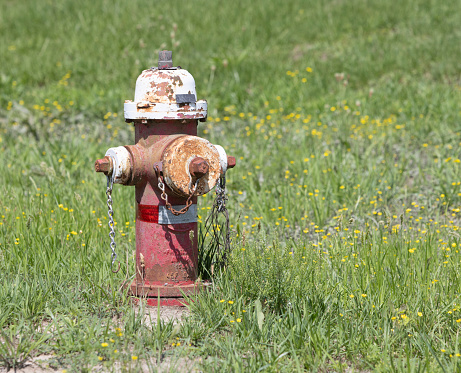 A typical red and yellow American fire hydrant.