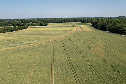 Aerial view of an idyllic summer landscape with fields of grain, forests and blue sky.