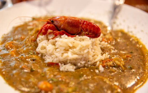 ryby rakowe etouffee serwowane - crayfish new orleans cajun food louisiana zdjęcia i obrazy z banku zdjęć