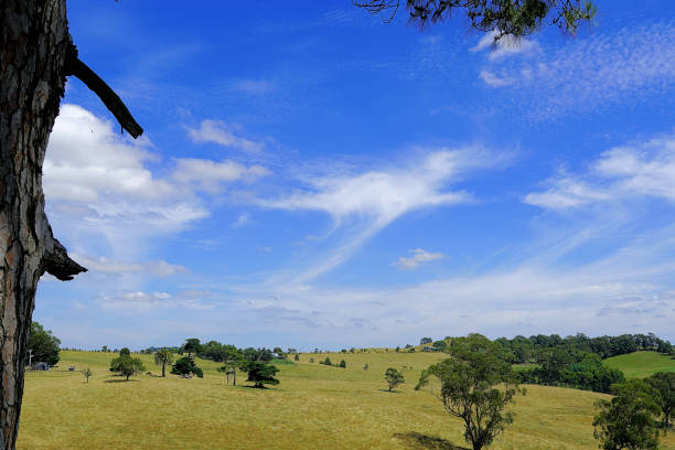 istock Kurumburra,  Victoria,  Australia 1503043344