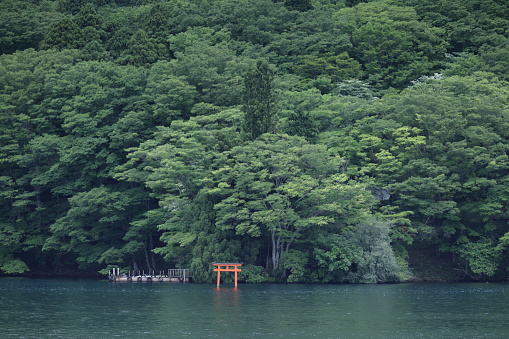 May 27, 2023 - Lake Ashi, Japan - A torii gate stands by the shore of Lake Ashinoko in front of lush foliage of the mountain forest. Spring afternoon in the Hakone volanic area.