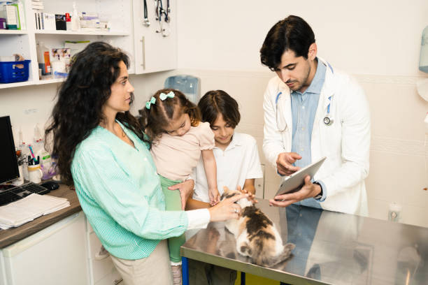 istock Pet for examination at the veterinarian's 1503048904