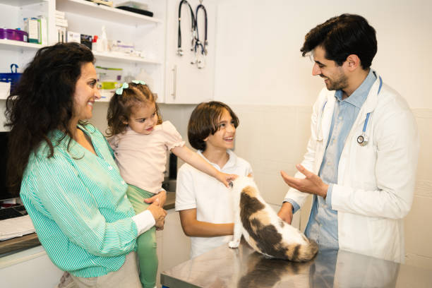 istock At the veterinarian's office 1503048910