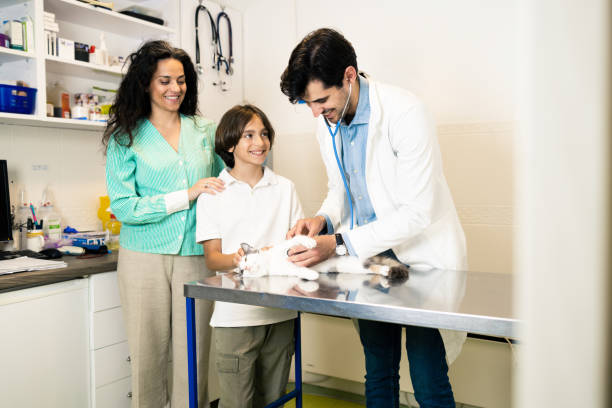 istock Veterinarian examines the pet 1503049036