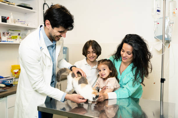 istock Pet for examination at the veterinarian's 1503049052