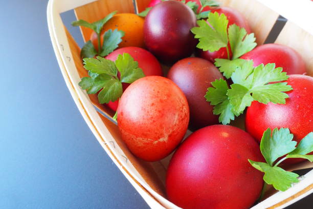 istock Easter basket close-up with colorful eggs. Boiled chicken eggs with red and brown shells, dyed with onion peel according to a traditional recipe. Fresh green parsley leaves. Gray background. 1503060537