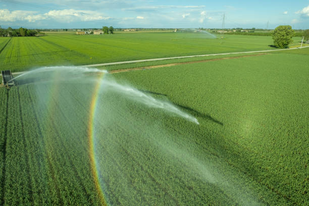 istock Rural field planted with garlic using hose reel system pumping water from canal. Raibow optical effect. 1503060879