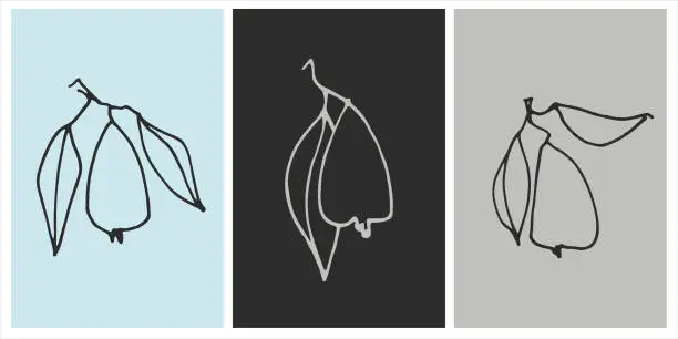 Vector illustration of Vector graphic set of prints with pear. Decor printable art. Perfect for prints, posters, logos, branding, social media
