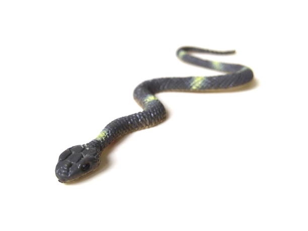 istock Close up of snake toy isolated on white background. 1503068907