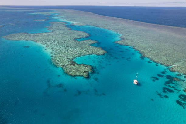 istock Aerial view of Darley Reef, QLD, Australia 1503080246