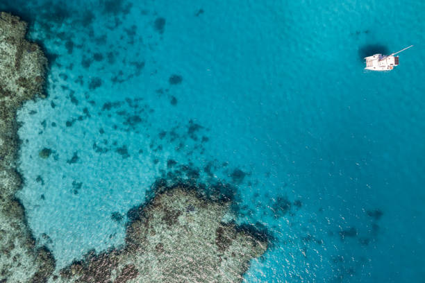 Aerial view of Darley Reef, QLD, Australia