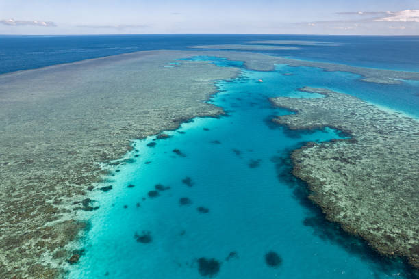 istock Aerial view of Darley Reef, QLD, Australia 1503080897
