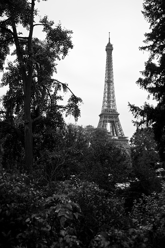 A black and white view of the Eiffel Tower in Paris. in Paris, Île-de-France, France