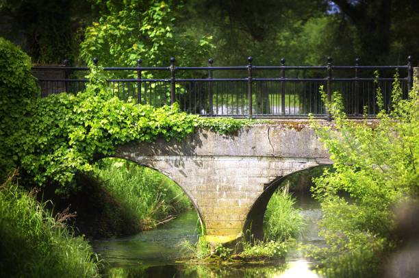 istock A bridge that leads to magical things in Ireland 1503119469