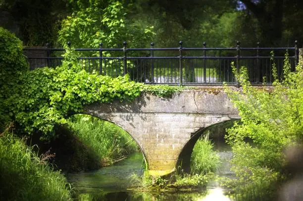 Photo of A bridge that leads to magical things in Ireland