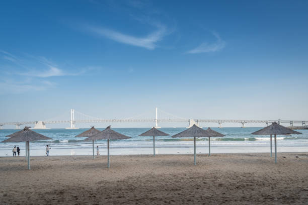 Gwangalli beach landscape view with Gwangan bridge in Busan, Busan, South Korea