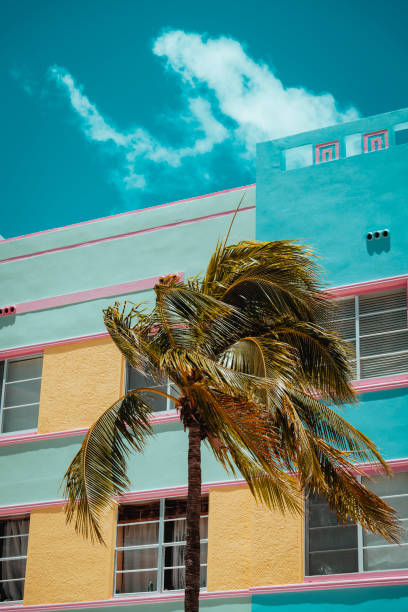 istock beach hotel Miami Beach palm 1503123561