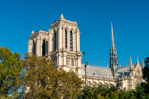 Cathedral of Notre Dame in Paris, France in France, Île-de-France, Paris