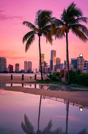 sunset over the city reflection palms miami in Miami, Florida, United States